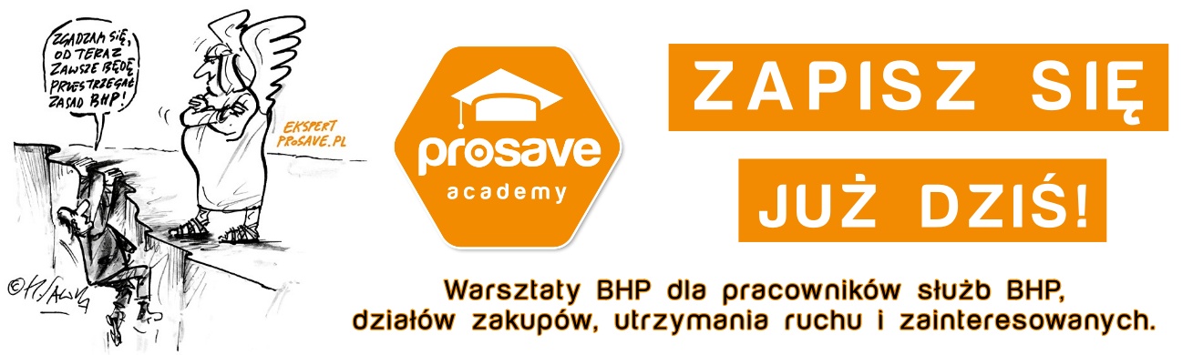 Podsumowanie Warsztatów BHP 2019 - Prosave Academy